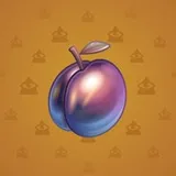 Precious Peach #2902