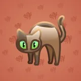 Scared Cat #17821