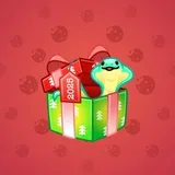 Snake Box #9976
