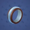 Bonded Ring #4464