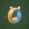 Bonded Ring #6208