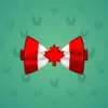 Bow Tie #1041