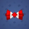 Bow Tie #107