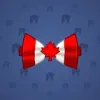 Bow Tie #115