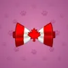 Bow Tie #1674