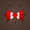 Bow Tie #2207