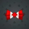 Bow Tie #2305