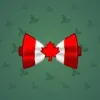 Bow Tie #2324