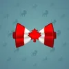 Bow Tie #2331