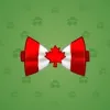 Bow Tie #2417