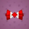 Bow Tie #2493