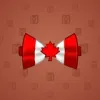 Bow Tie #2876