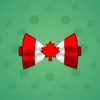 Bow Tie #365