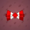 Bow Tie #4011