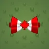 Bow Tie #447