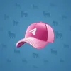 Durov’s Cap #204