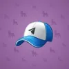 Durov’s Cap #3768
