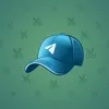 Durov’s Cap #3895