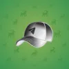Durov’s Cap #887