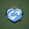 Heart Locket #799