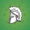 Heroic Helmet #875