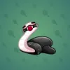 Pet Snake #3440