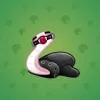 Pet Snake #4086