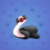 Pet Snake #4827
