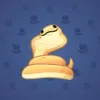 Pet Snake #4975
