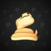 Pet Snake #5142