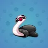Pet Snake #5997