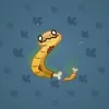 Pet Snake #6430