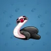 Pet Snake #6963