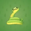 Pet Snake #8249