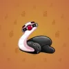 Pet Snake #8264