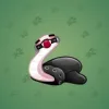 Pet Snake #8472
