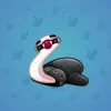 Pet Snake #9369