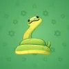 Pet Snake #9559
