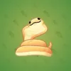Pet Snake #967