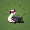 Pet Snake #9934