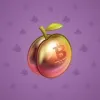 Precious Peach #1016
