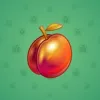 Precious Peach #1510