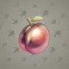 Precious Peach #1533