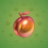 Precious Peach #1560