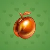 Precious Peach #1572