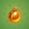 Precious Peach #1685