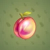 Precious Peach #1731