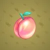 Precious Peach #210
