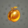 Precious Peach #2127
