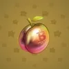 Precious Peach #2181